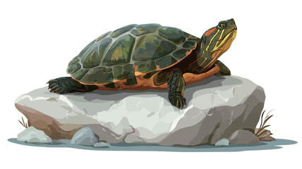 A digital illustration depicts a red-eared slider turtle resting on a light gray rock partially submerged in water. The turtle is shown in detail, with its characteristic red markings on its head