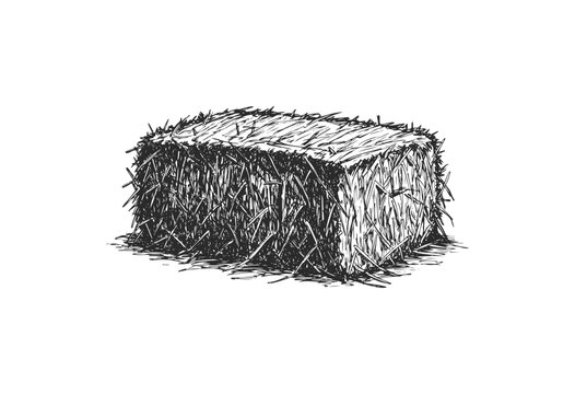 Detailed sketch of a rectangular hay bale - stock vector
