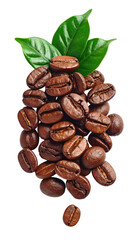Coffee beans cluster with leaves