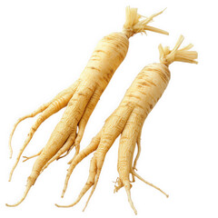 Two ginseng roots, showcasing their unique shape and earthy tones, isolated on transparent background, symbolizing vitality, longevity and traditional medicine