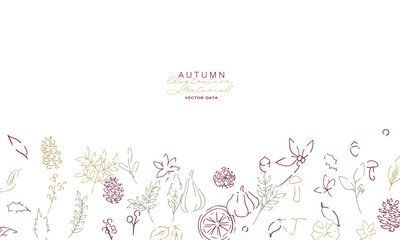 秋の落ち葉と木の実のベクターイラスト。葉っぱの秋植物イラスト。秋の線画背景。Autumn leaves and nuts vector illustration. Autumn plant illustration with leaves. Autumn line art background.