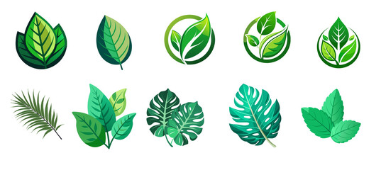 Green Leaf Vector Set Eco Nature Botanical Icon Collection Isolated