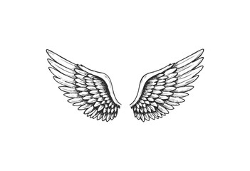 Obraz premium Intricate monochrome angel wings illustration - stock vector