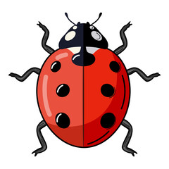 Fototapeta premium Red ladybug with black spots. Predator, effective pest control in agriculture. Cute insect for children's design and spring themes.