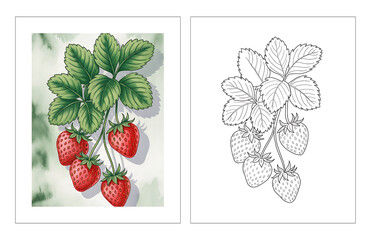 Strawberry Plant with Leaves – Botanical Copy Coloring Illustration