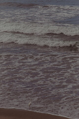 Santa Monica Beach
