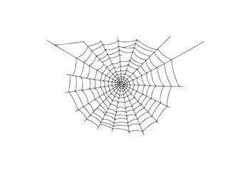 Fototapeta premium Intricate geometric spider web design - stock vector