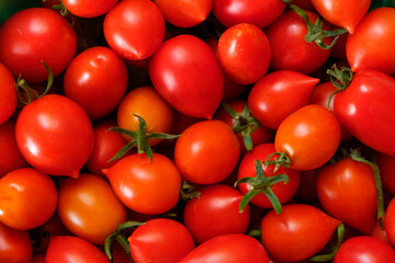 Pomodori