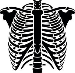 Human rib cage skeleton anatomy medical science illustration vector art vector