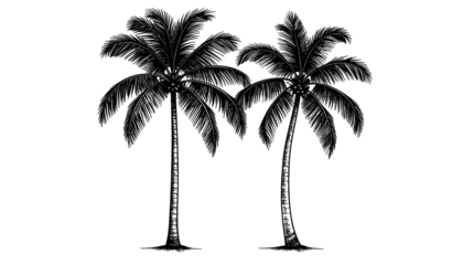 Two dark palm trees against a black background