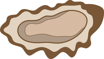 Seafood delicacy fresh oyster shell culinary ingredient vector