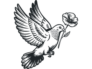 Obraz premium Dove holding a flower, transparent. Vector hand drawn illustration