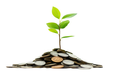 Young green plant growing from a pile of coins isolated on transparent background