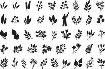 Black and white botanical vector pack: leaves, branches, flowers, and plant silhouettes eps