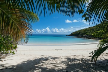 Tropical beach with white sand turquoise water and palm tree paradise view