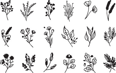 Floral vector pack: hand-drawn botanical illustrations, flower and leaf designs eps silhouette
