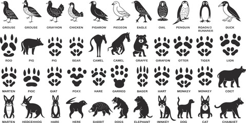 Animal and bird silhouettes with paw prints, wildlife footprint icons, educational zoology chart, vector animal tracks, nature symbol graphic, zoo creature design collection.