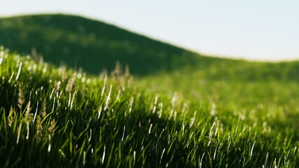 Bright green blades of grass ripple under a soft breeze, creating a serene atmosphere. The sun casts a warm glow over the lush landscape, inviting tranquility and connection with nature.