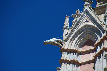 Naklejka premium Gargoyle close up Cathedral of Siena, Italy