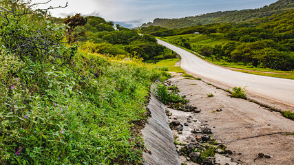 landscape of salalah oman