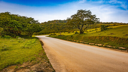 landscape of salalah oman