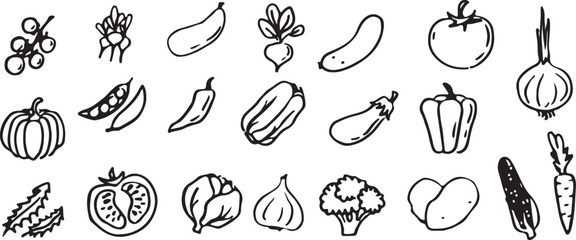 vegetable doodles, hand drawn vegetables, food doodles, vegetable sketch, healthy food doodles, veggie drawings, funky vegetable doodles, cartoon vegetables, creative food doodles, veggie art, fresh v