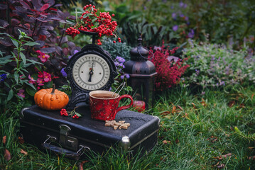 Autumn still life with hot drink flowers and pumpkin in garden.
