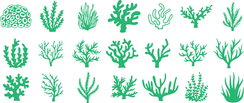 Seaweed vector clipart, coral reef plant PNG, underwater seaweed illustration, marine algae design, tropical coral art, ocean plant clipart, seaweed silhouette PNG, aquatic coral graphic, underwater r