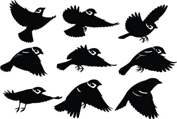Bird silhouette set featuring flying and perched poses, expressive wing dynamics, and varied anatomy for wildlife and design use