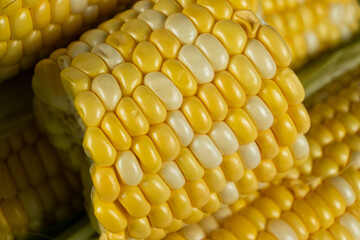 Detailed fresh raw corn cobs with natural texture close-up.