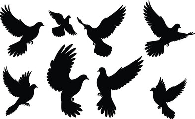 Bird silhouette set featuring dynamic flight poses, varied wing angles, and graceful motion for wildlife illustration, education