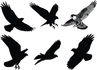 Birds of prey silhouette set featuring flying and grasping poses with feather detail and talons for wildlife and design use
