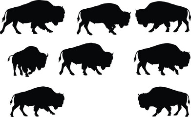 Bison silhouette set featuring sequential walking poses with motion progression, rugged anatomy, and wildlife gait study for design use