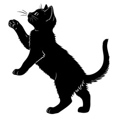 black cat vector illustration