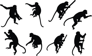 Monkey silhouette set featuring climbing, jumping, sitting, and branch-holding poses with dynamic motion and wildlife anatomy for design use