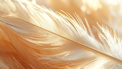 A macro ultra hyper realistic close-up of a classic, elegant feather
