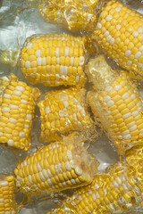 Splashing Fresh Corn Cobs in Water Closeup.