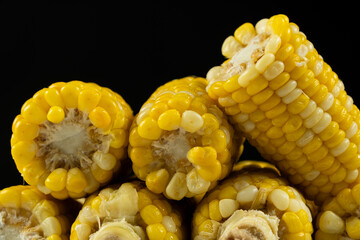 Fresh Hot Boiled Corn Cob on Black Background