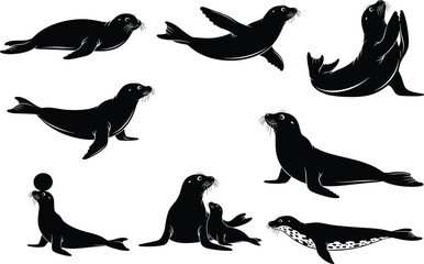 Seal silhouette set featuring swimming, sitting, lying, balancing, and pup interaction poses with expressive flippers and marine motion