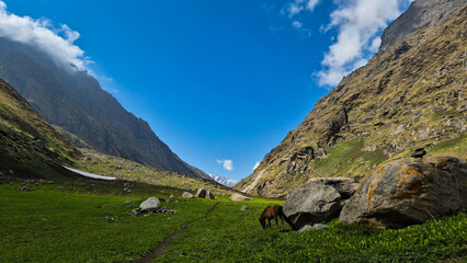 mountain landscape in the mountains