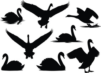 Swan silhouette set featuring swimming, flying, landing, and standing poses with artistic ripples and regal accents for design use