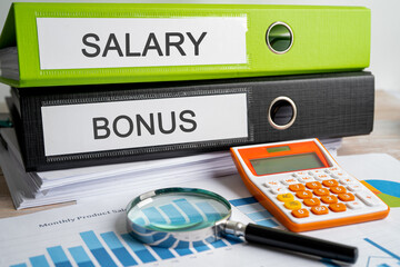 Salary Bonus. Binder data finance report business with graph analysis in office.