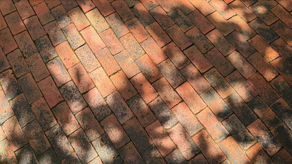 Tree shadows and sunlight on brick floor with copy space