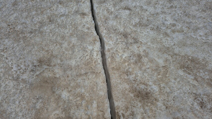 close up of a rock  bark