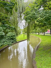 A picturesque natural picture of the park areas of the central part of Munich decorated with artificial rivers and trees hanging over them.