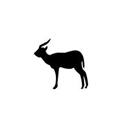 Antelope Silhouette