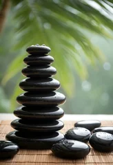 Fototapete Toilette Zen black stones with water drops, spa balance concept, tropical leaves background  © ElseThen