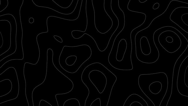  topographic abstract black and white loop animation background video motion graphics	
