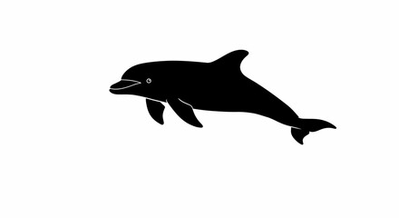 Silhouetted dolphin leaping ocean water wildlife aquatic mammal marine life