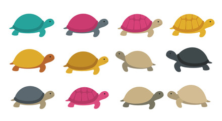 Cute cartoon tortoises assorted colors adorable animals collection fun wildlife